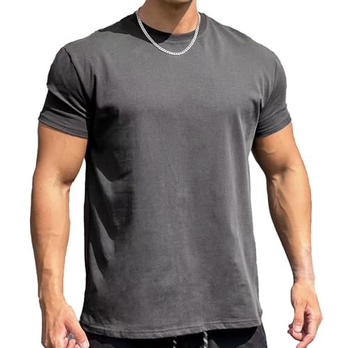 [マナツライフ] メンズ半袖Tシャツ コットン100% 薄手 クルーネック カジュアル スリムフィット 夏 DX33 (JP, アルファベット, M, ダークグレー)